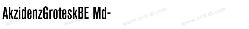 AkzidenzGroteskBE Md字体转换